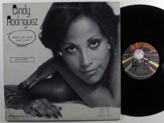 Cindy Rodriguez What You Need Is My Love Disko - Mania 12 " Vg,  45rpm Hear