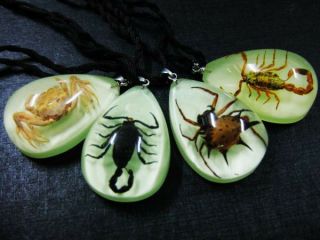 12pcs Golden Scorpion,  Black Scorpion,  Carb,  Spider Mini Glow Drop Magic Pendant