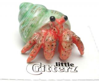 ➸ Little Critterz Aquarium Fish Tank Miniature Figurine Hermit Crab
