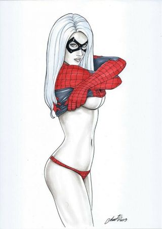 Black Cat Spiderman Hm1art Art Sexy Felicia Hardy Spider Suit Comic 254