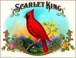Scarlet King Cardinal Smoke Vintage Cigar Tobacco Box Crate Inner Label Print