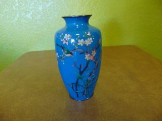 Antique Vintage Japanese Cloisonne Vase Cherry Blossom Birds Silver Rim