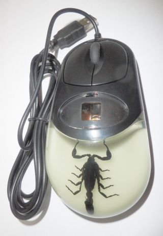 Optical Computer Mouse Black Scorpion Specimen Black Case Glow Sb4