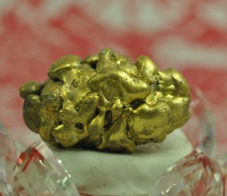 Gold Noni Leklai Thong Pla Lai Thai Amulet Protect Lucky Wealth Talisman