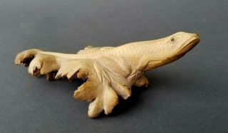 Tree Fungus ? Hand Carved Wood Lizard Figure