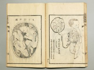 Western Anatomy By Benjamin Hobson 19th C.  Antique Japanese Woodblock Print Book