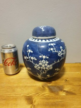 (b) Quality Large Chinese 19th Century Prunus Design Vase / Jar Kangxi Style