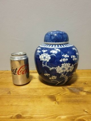 (a) Quality Large Chinese 19th Century Prunus Design Vase / Jar Kangxi Style