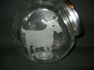 Etched Pygmy Goat Glass Cookie Candy Treat Biscuit Storage Jar Canister