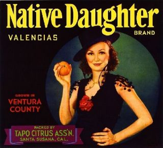 Santa Susana Native Daughter 2 Orange Crate Label Print