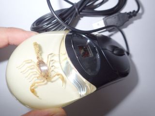 Optical Computer Mouse Chinese Golden Scorpion Specimen Sb4 Black Case Glow