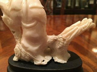 A Chinese Antique Carved White Coral Guanyin with Wooden Stand. 6