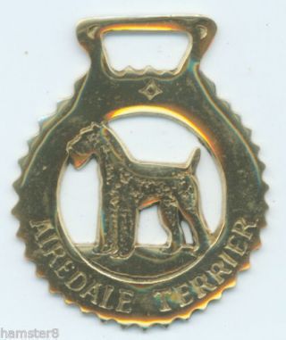 Airedale Terrier Horse Brass (n654)