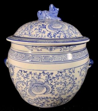 Chinese Antique Blue And White Porcelain Jar With Flowers
