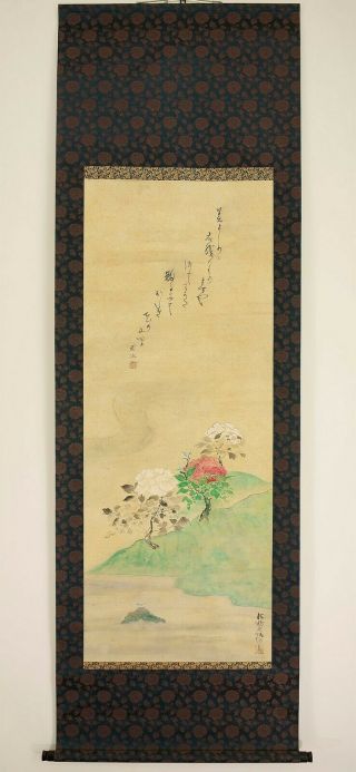 掛軸1967 Japanese Hanging Scroll : Ogata Korin " Peony And Three Bird " @n130
