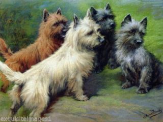 C1900 Moody Four Cairn Terrier Dog Dogs On Rock Large Note Cards