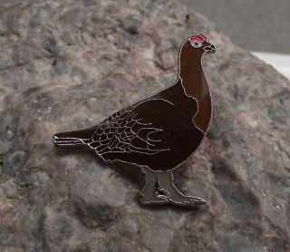 Red Grouse Game Bird Hunting Willow Ptarmigan Wildlife Hunt Brooch Pin Badge