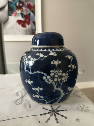 Fine 19th Century Antique Chinese Prunas Jar And Cover.  Kangxi Mark