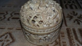 19th Century Chinese Carved Resin Counter Box