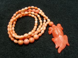 Chinese Natural Orange Coral Necklace/ Pendant - See Video 1