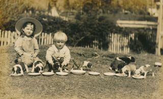 C1910 Rppc 2 Little Kids With 8 Border Collie Puppies Photo Postcard