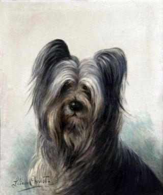 C1910 L.  Cheviot Art Very Sweet Skye Terrier Puppy Dog Profile Lg Note Cards