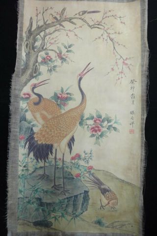 Very Large Old Chinese Hand Painting Cranes Flowers " Zhangzhaoxiang " Mark