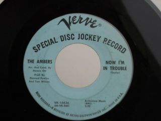 Z9 Verve 10436 Dj Northern Soul The Ambers I Love You Baby Now Im In Trouble