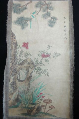 Very Large Old Chinese Hand Painting Pine Tree Birds " Shenzhou " Marks