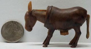 Vintage German S.  A.  Reider Celluloid Donkey Nodder / Bobblehead & Tail Wiggles
