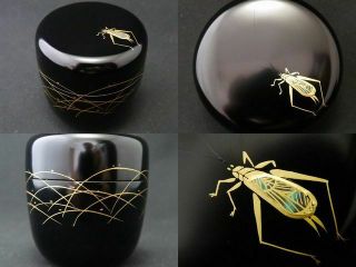 Japan Lacquer Wooden Tea Caddy Bell Cricket At Spiderwort Makie Chu - Natsume 722