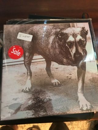 Alice In Chains Self Titled S/t Tripod Eu Import Usa