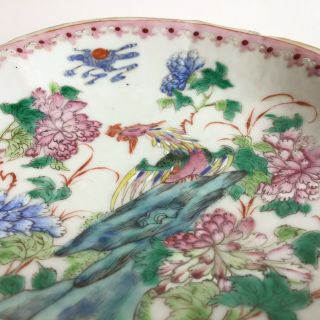 Antique Chinese Famille Rose Footed Dish Straits Peranakan Nyonya Ware 3