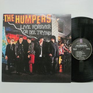 The Humpers ‎– Live Forever Or Die Trying Lp 1996 Us Orig Epitaph Zeke Dwarves