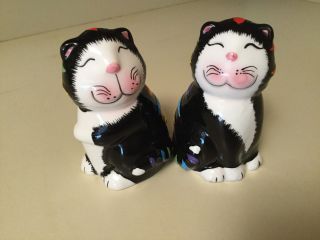 Ckao Black White Multi Color Cat Salt And Pepper Shakers