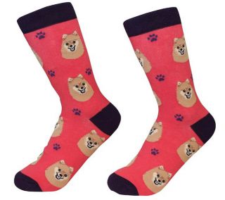 Pomeranian Socks Unisex Red