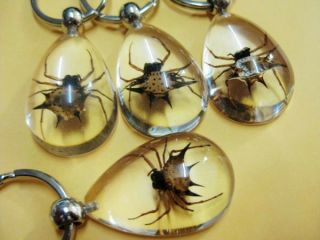 12pcs Ice Real Insect Golden Spider Clear Drop Cute Key - Chain Ring