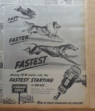 1945 Newspaper Ad For Standard Iso - Vis Oil - Racing Spaniel,  Collie,  Greyhound