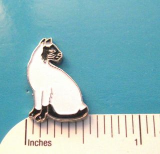 Siamese Cat Kitty - Hat Pin,  Lapel Pin,  Tie Tac,  Hatpin Gift Boxed 00372
