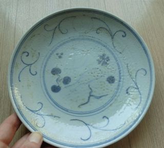 Antique 18thc Large Chinese Kangxi Signed Blue & White Fish & Flower Plate