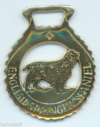 English Springer Spaniel Horse Brass (n500)
