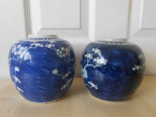 Chinese Blue & White Prunus Jars x 2 19/20th Century.  Double Ring Mark. 2