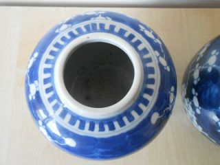 Chinese Blue & White Prunus Jars x 2 19/20th Century.  Double Ring Mark. 6
