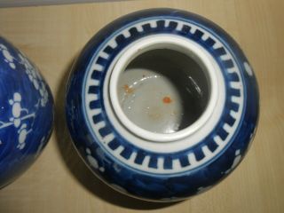 Chinese Blue & White Prunus Jars x 2 19/20th Century.  Double Ring Mark. 7