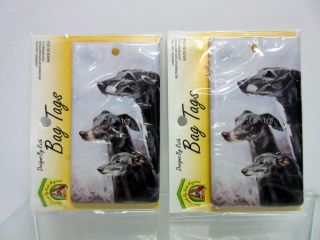 Greyhound Whippet Dog Bag Tag 2 Luggage / Pet Carrier Tags By Ruth Maystead