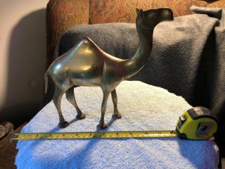 Brass Camel,  Made In India 10 " Long X 10 " Tall,  Old Family Heirloom