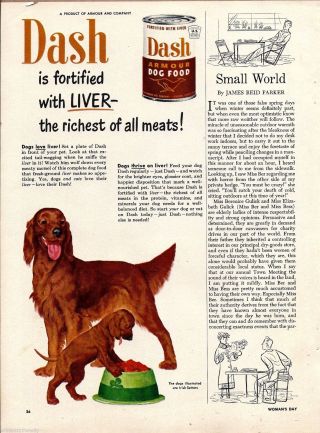 1950 Irish Setter & Puppy Dash Dog Food Vintage Print Ad Advertising