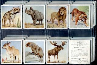 Tobacco Card Set,  Godfrey Phillips,  Animal Studies,  Wild Animals,  1936