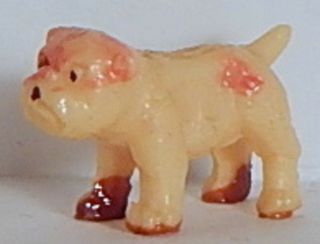 Vint Celluloid Bulldog Dog Charm (no Ring) Miniature