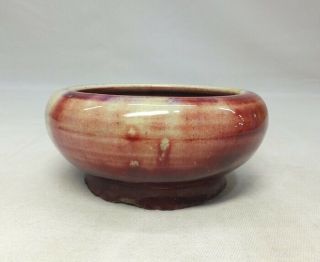 A230 Chinese porcelain SUIU water pot of cinnabar glaze SHINSHA with name of era 5